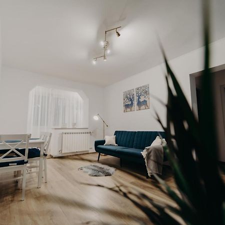 Apartamentul Albastru Vatra Dornei Buitenkant foto