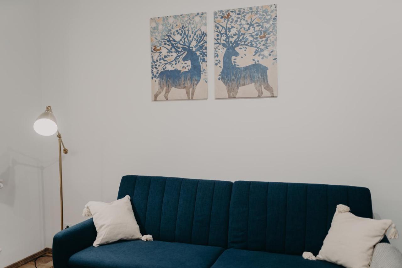 Apartamentul Albastru Vatra Dornei Buitenkant foto