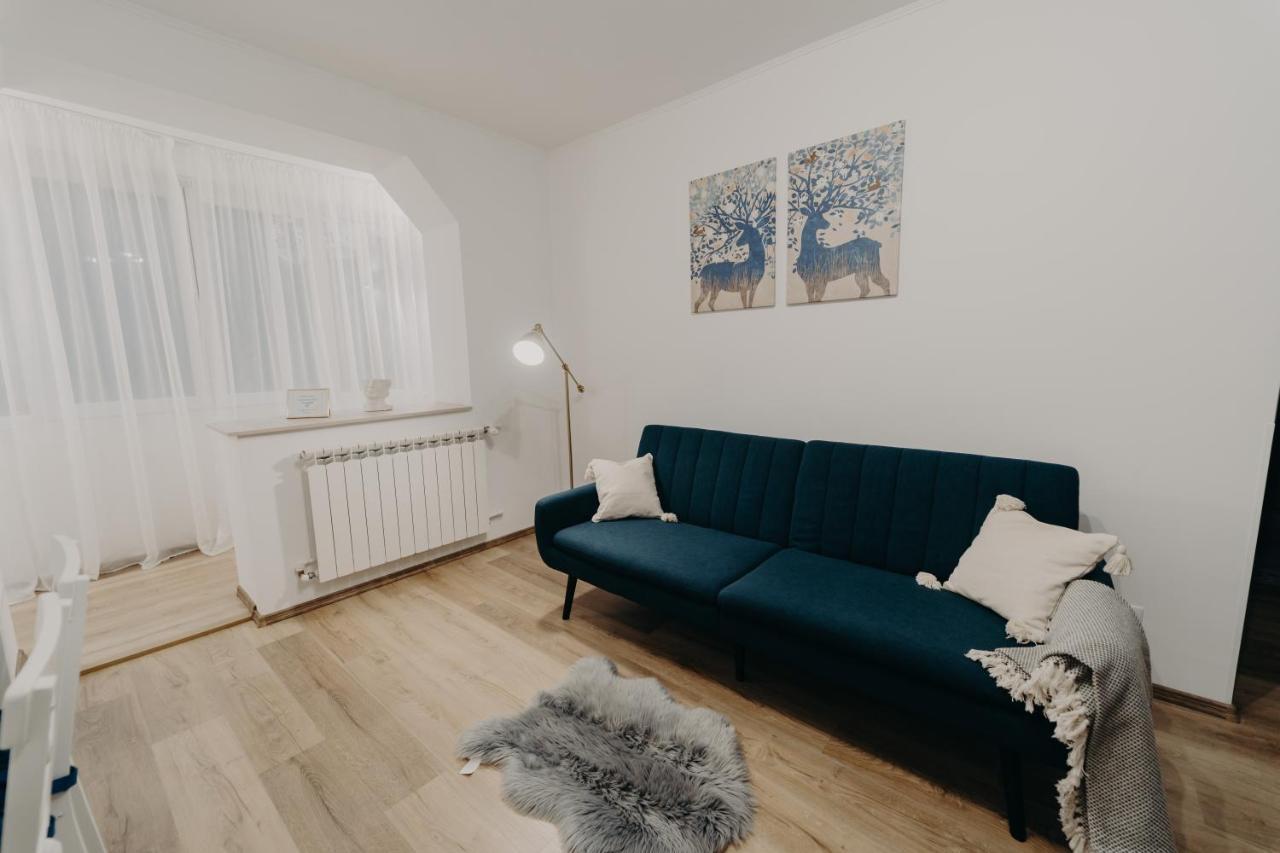 Apartamentul Albastru Vatra Dornei Buitenkant foto