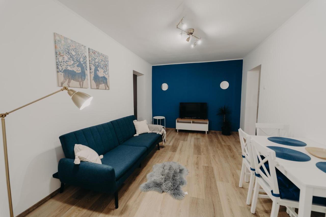 Apartamentul Albastru Vatra Dornei Buitenkant foto