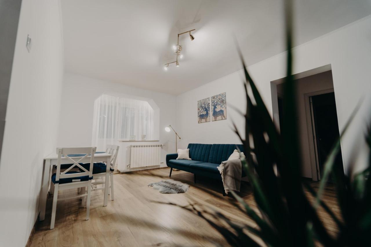 Apartamentul Albastru Vatra Dornei Buitenkant foto