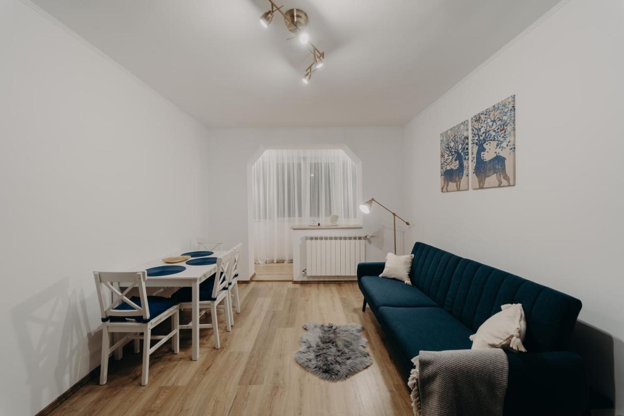 Apartamentul Albastru Vatra Dornei Buitenkant foto